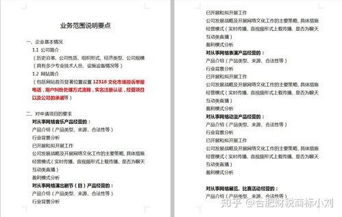 合肥市網絡文化經營許可證辦理全指南 條件、材料與流程詳解