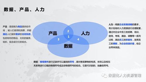 數(shù)據(jù)產(chǎn)品在人力資源管理中的實踐與思考 以人力資源服務(wù)為例