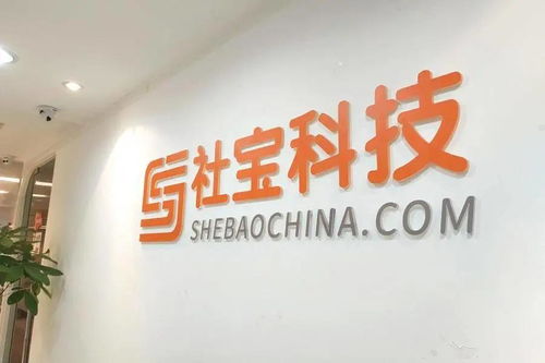 深耕數字化沃土，社寶科技賦能企業人力資源管理新未來